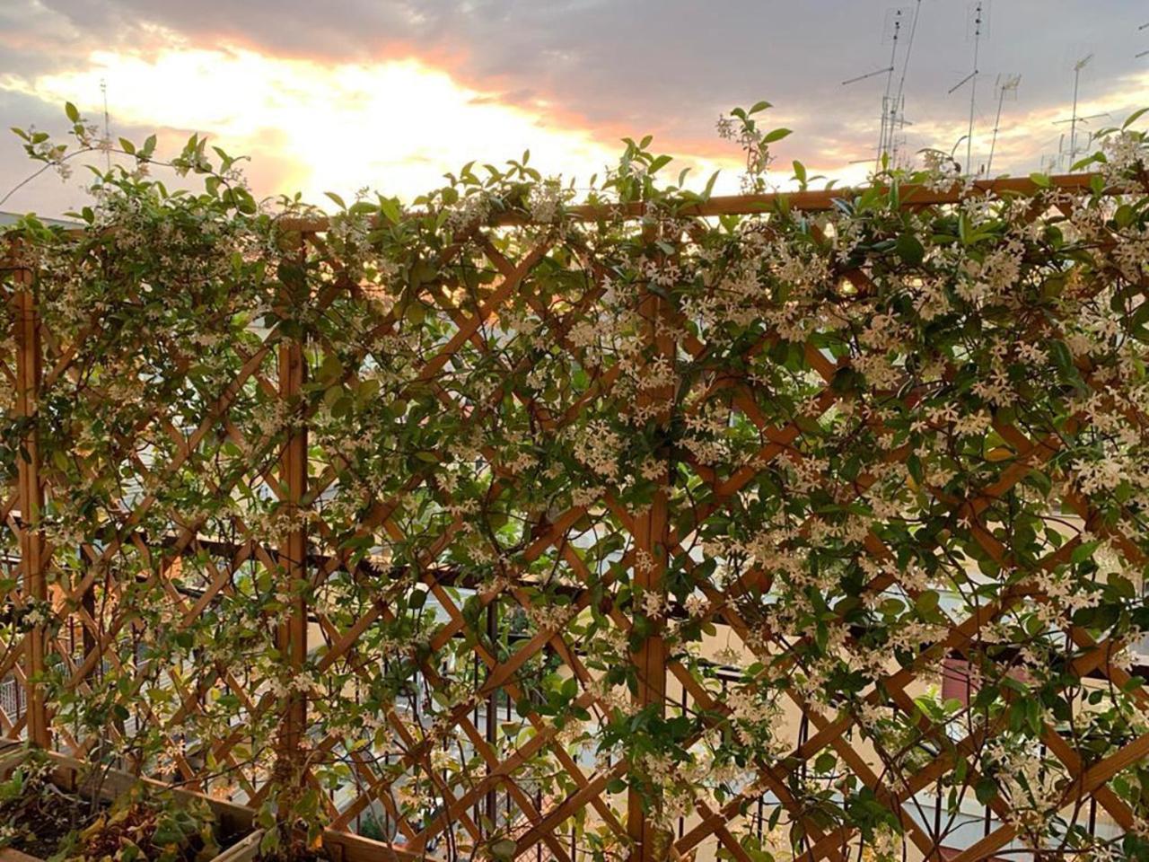 罗马In Terrazza Da Giusy住宿加早餐旅馆 外观 照片