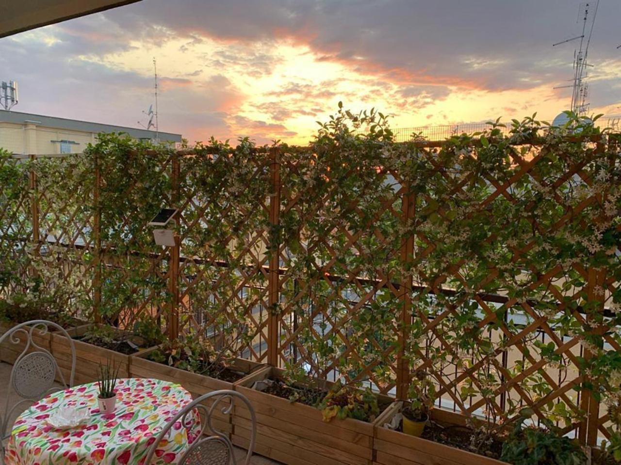 罗马In Terrazza Da Giusy住宿加早餐旅馆 外观 照片